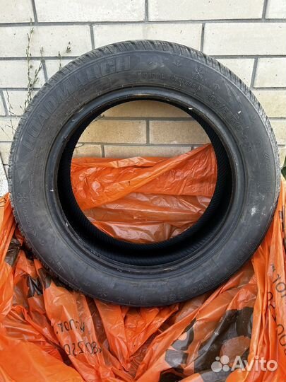 Roadmarch Winter XPro 888 195/55 R15