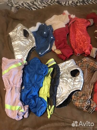 Одежда для средних и маленьких собаки