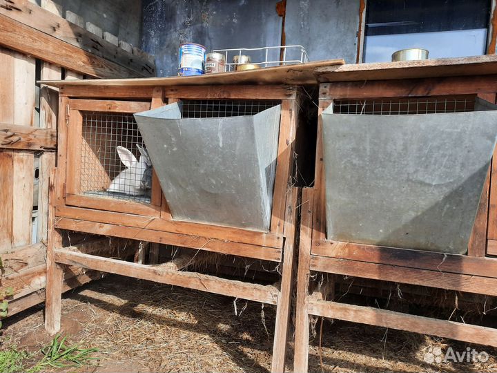 Клетки для кроликов