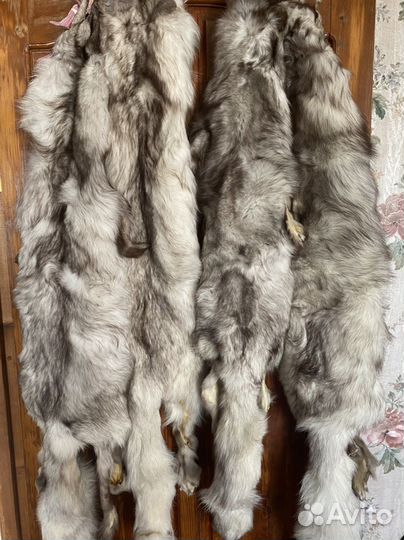 Шкуры песца