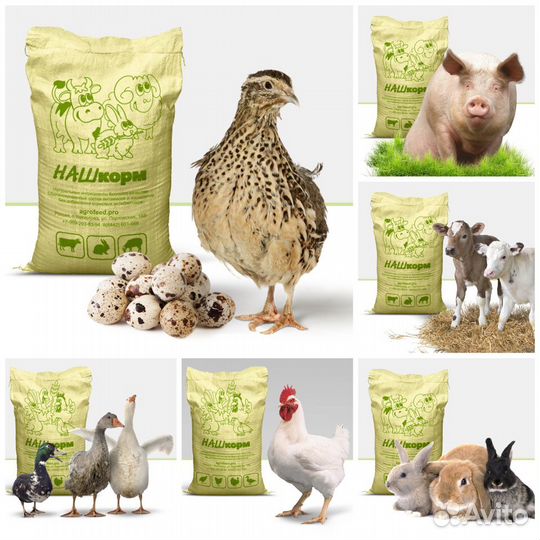Корма для с/х животных на рынке 