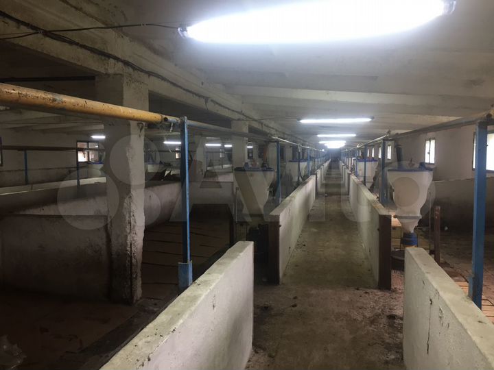 Участок 1,23 га (СНТ, ДНП)