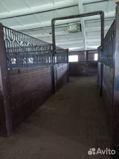 Постой лошадей