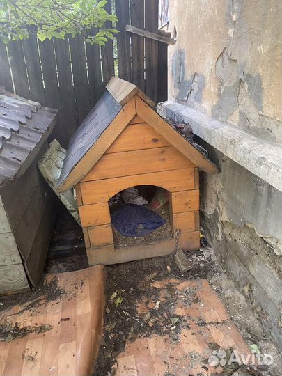 Продам будки для собак