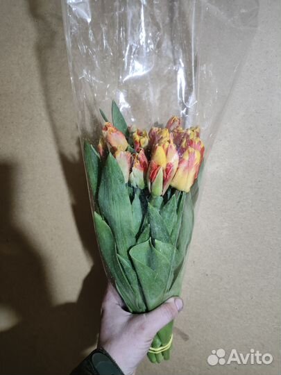 Тюльпаны 28-32 см в наличии