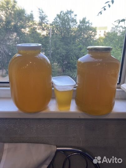 Свежий мед 2023г