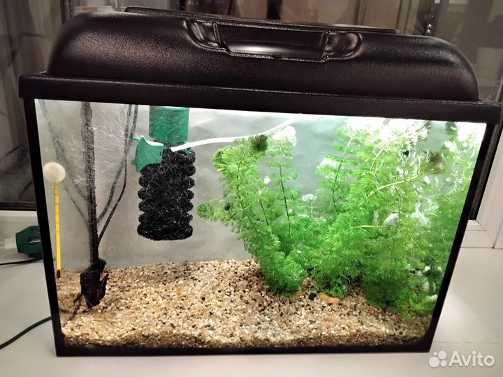 Аквариум для рыбок на 50 литров