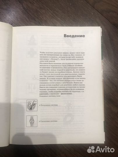 Анатомия человека. Физиология