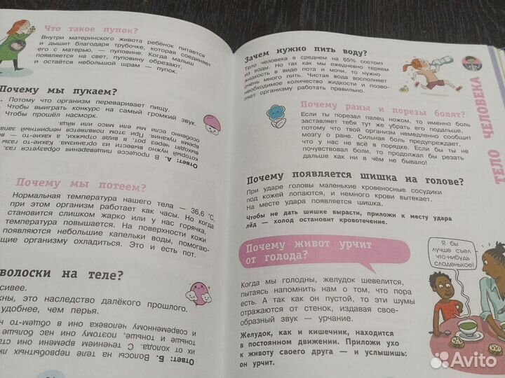 700 вопросов почему, лесная аптека