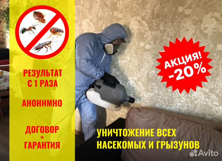 Уничтожение клопов, Травля тараканов, Дезинфекция