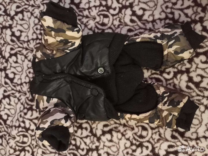 Костюм на собаку