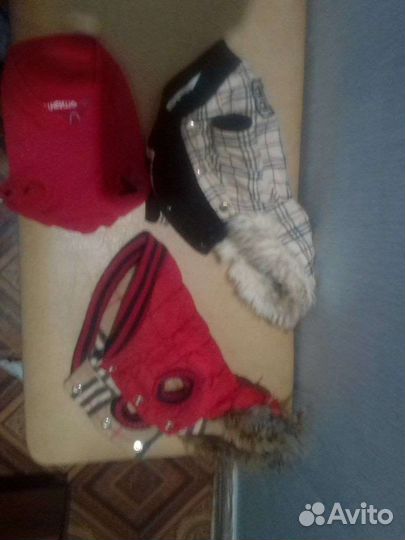 Одежда для собак мелких пород