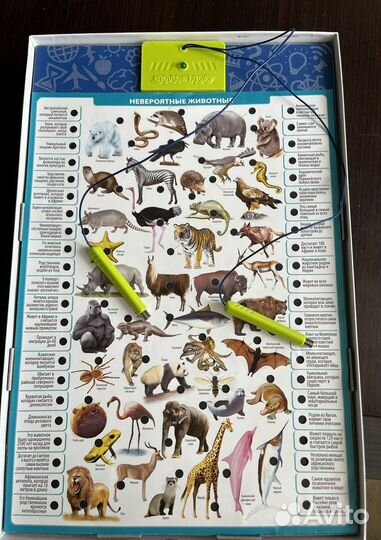 Настольная игра Educa conector электровикторина