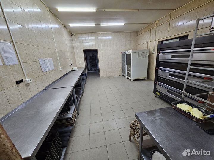 Печь подовая газовая