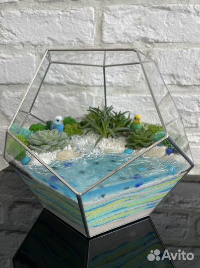 Флорариумы,суккуленты