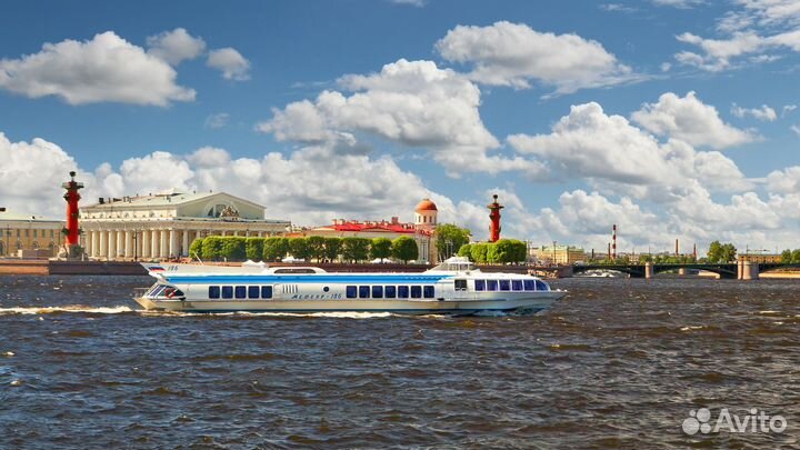 Метеор в Петергоф (от Дворцовой набережной)