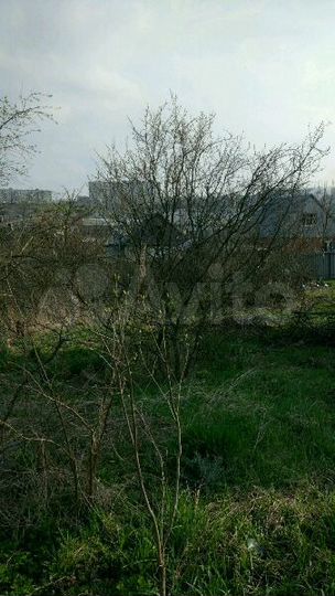 Участок 5 сот. (СНТ, ДНП)