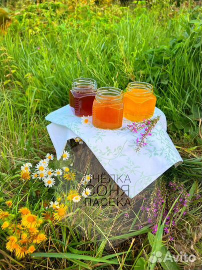 Мёд гречишный, полевой, разнотравье