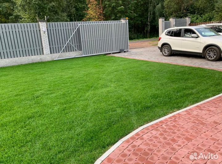 Рулонный газон