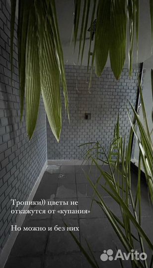 Фотостудия