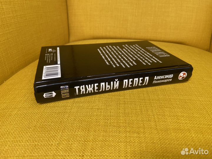 Тяжелый пепел - Александр Пономарев. Сталкер