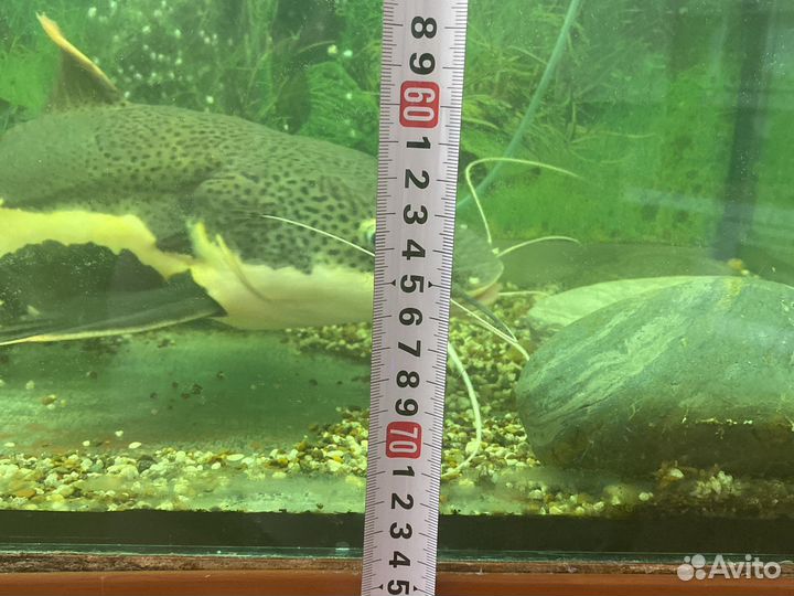 Аквариум с тумбой 360 л