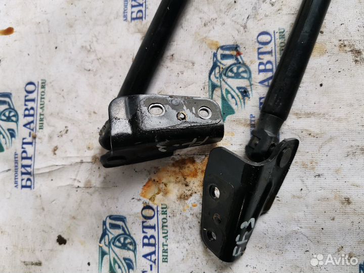 Амортизатор крышки багажника Ford Focus III (2011—