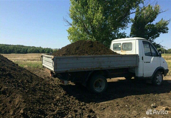 Продам дрова березовые