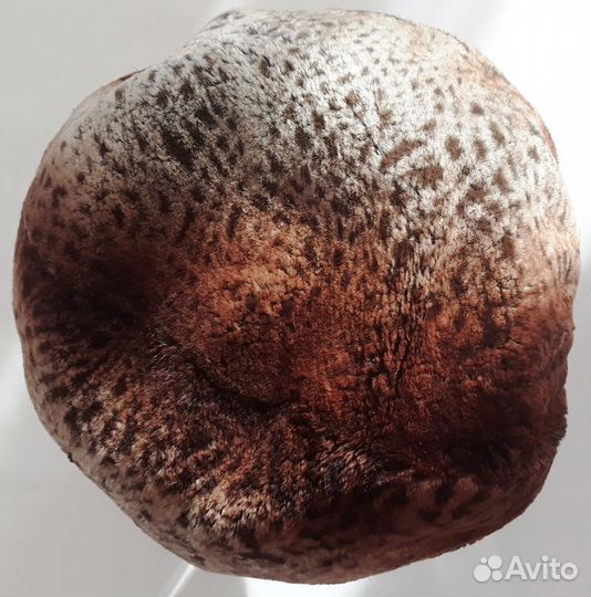 Новый Берет Tonak. Берет меховой