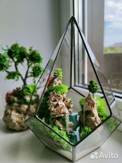 Моссариум в форме капля