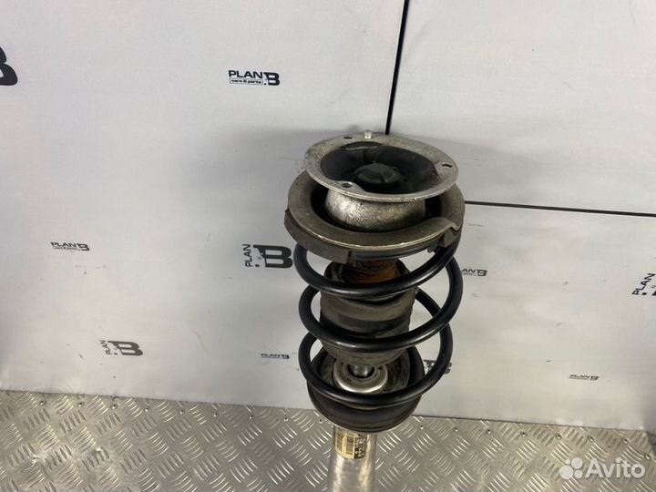 Стойка подвески передняя правая Bmw 5 E60 N52B30