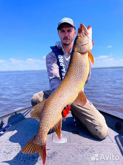 Рыбалка с гидом