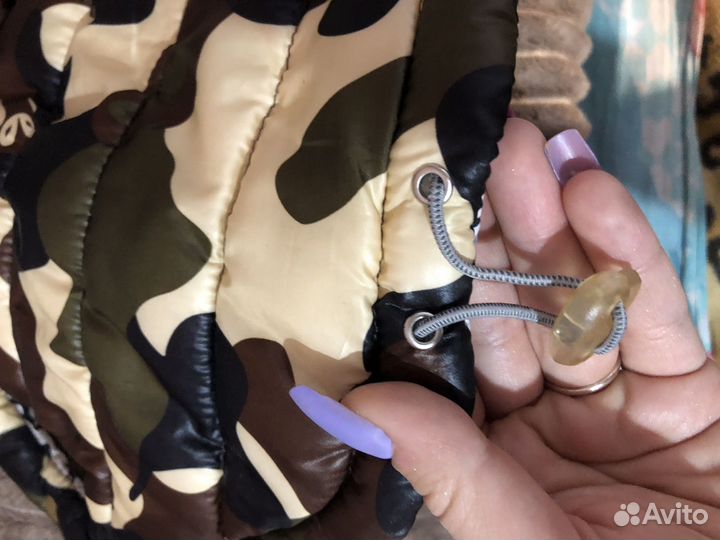 Одежда для собак