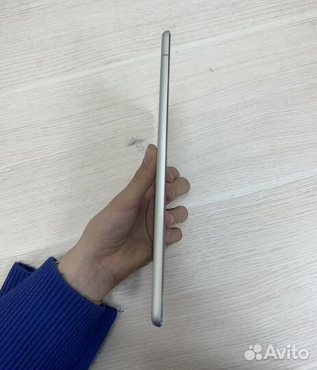 iPad Mini 4 Model A1538
