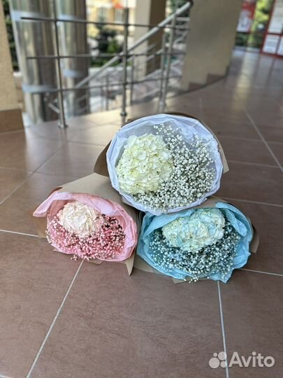 Букет из гипсофилы