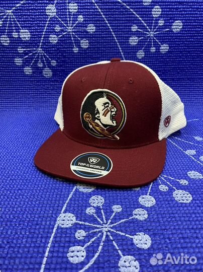 Бейсболка Florida ncaa США