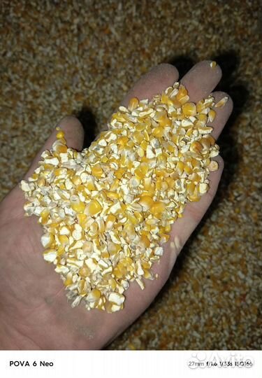 Кукуруза дробленая