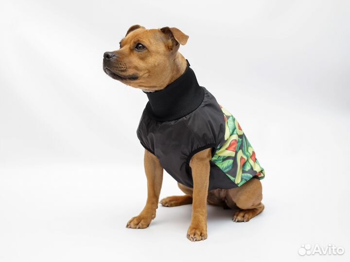 Жилетка для собак