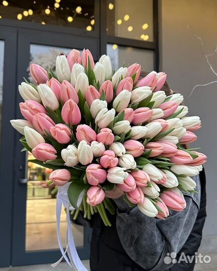 Букет тюльпанов / 51,101,151 тюльпан