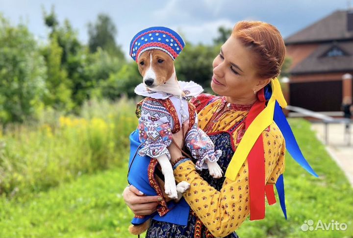 Пошив одежды для собак на заказ