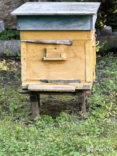 Продаются ульи