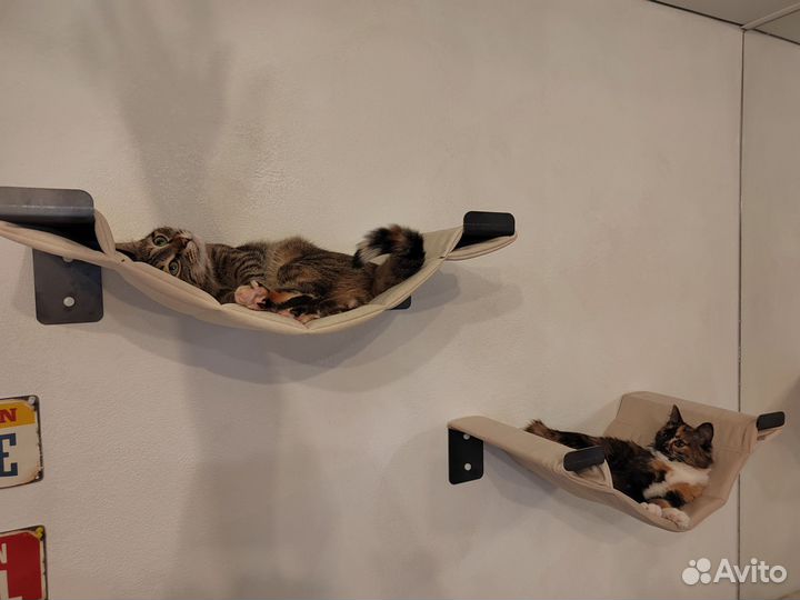 Гамак для кошек