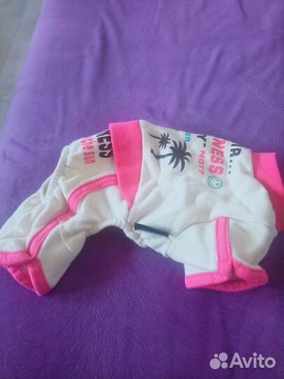 Кофта и комбинезон для собак мелких пород