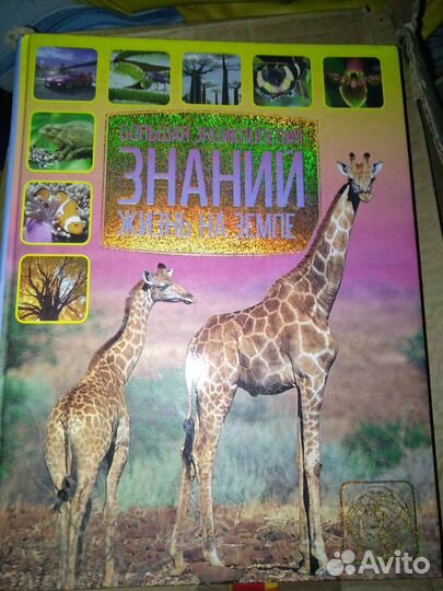 Книга. Детская энциклопедии