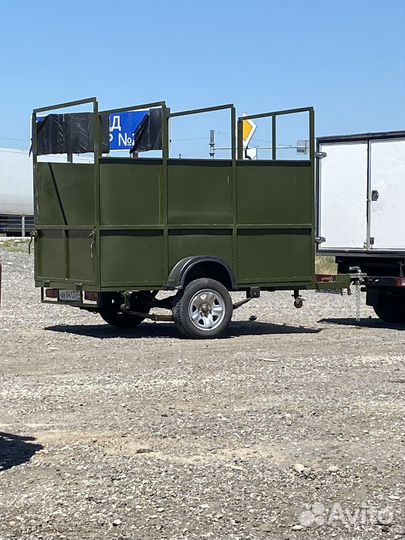 Скотовоз перевозка скота