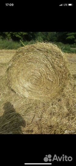 Солома в рулонах 2023