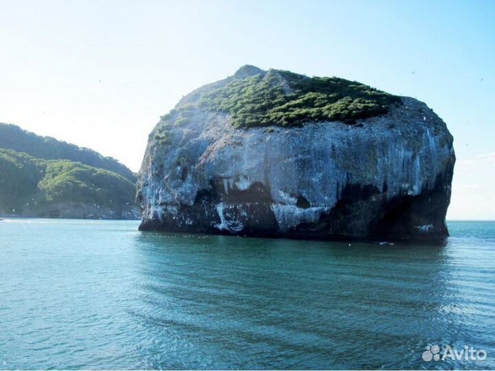 Морские прогулки на катере