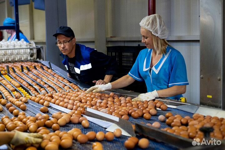 Работа в Башкирии с Проездом.Сортировщик