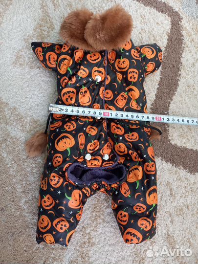 Одежда для маленьких собак