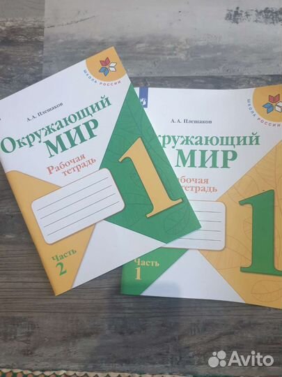 Окружающий мир 1 класс рабочая тетрадь